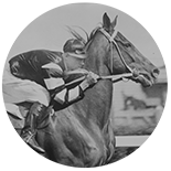 Phar Lap racing